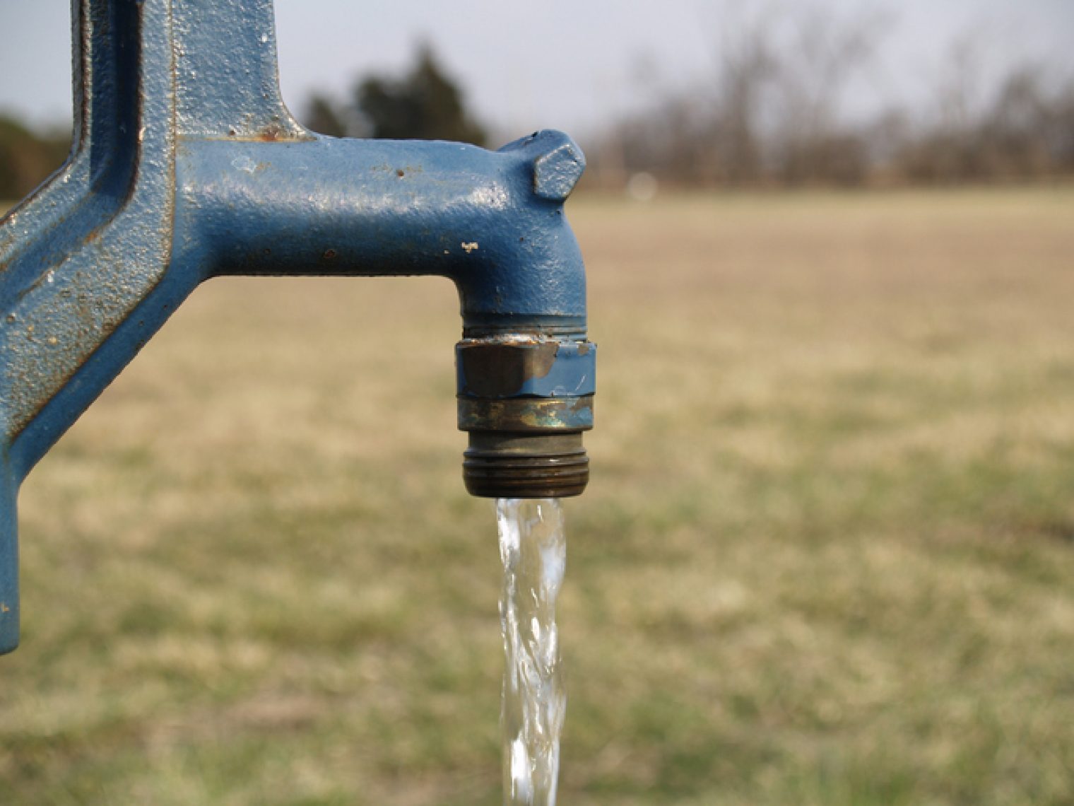 A close-up of a blue outdoor water faucet with water flowing out, set against a natural background with a field and trees.