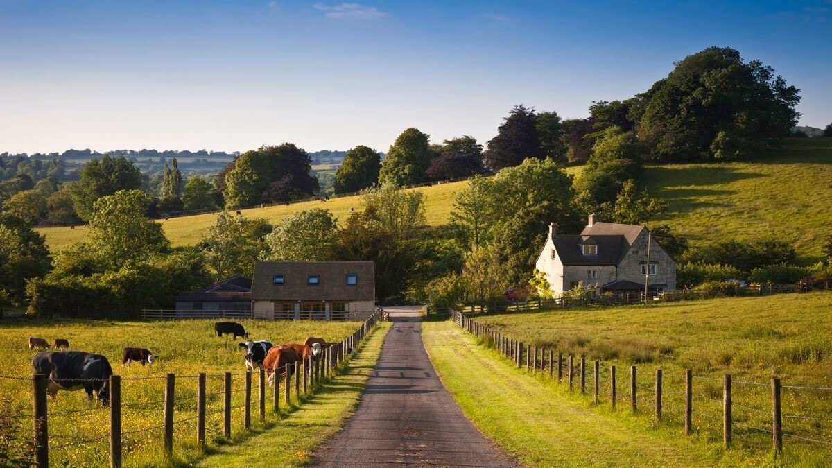 Scenic country road leading to a farm house.